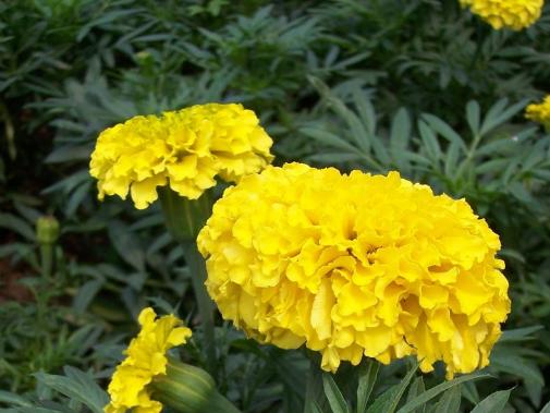 个案研习社|湿疹瘙痒难耐，“对症下药”是关键