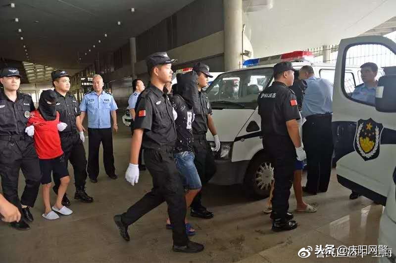 净网2019重拳打击涉网违法犯罪,上海市2021年电信网络诈骗数据