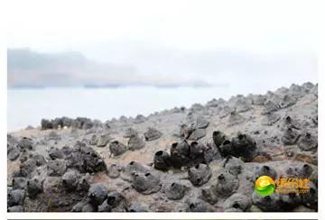 舟山海鲜攻略2天1晚住宿自由行,舟山最好的海鲜