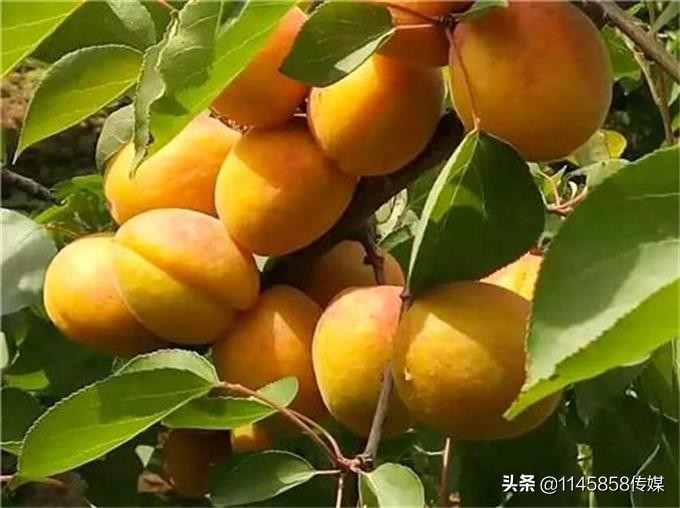 蓟县渔桥水库吃鱼,蓟州于桥水库吃鱼