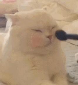 nars腮红和倩碧小雏菊,值得一看的腮红