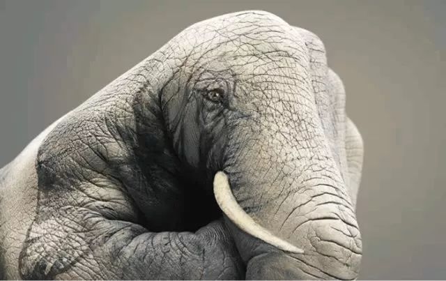 瞬变的方法,瞬变变装教学