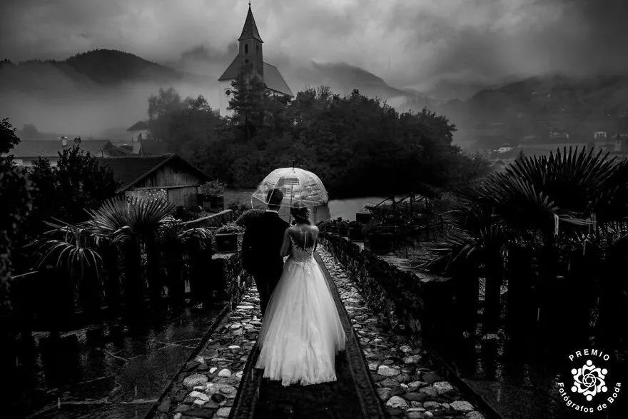 100寮犳渶鏂拌幏濂栧绀肩収,33涓幏濂栫殑濠氱ぜ鐓х墖瀹屽叏鍚稿紩鐪肩悆