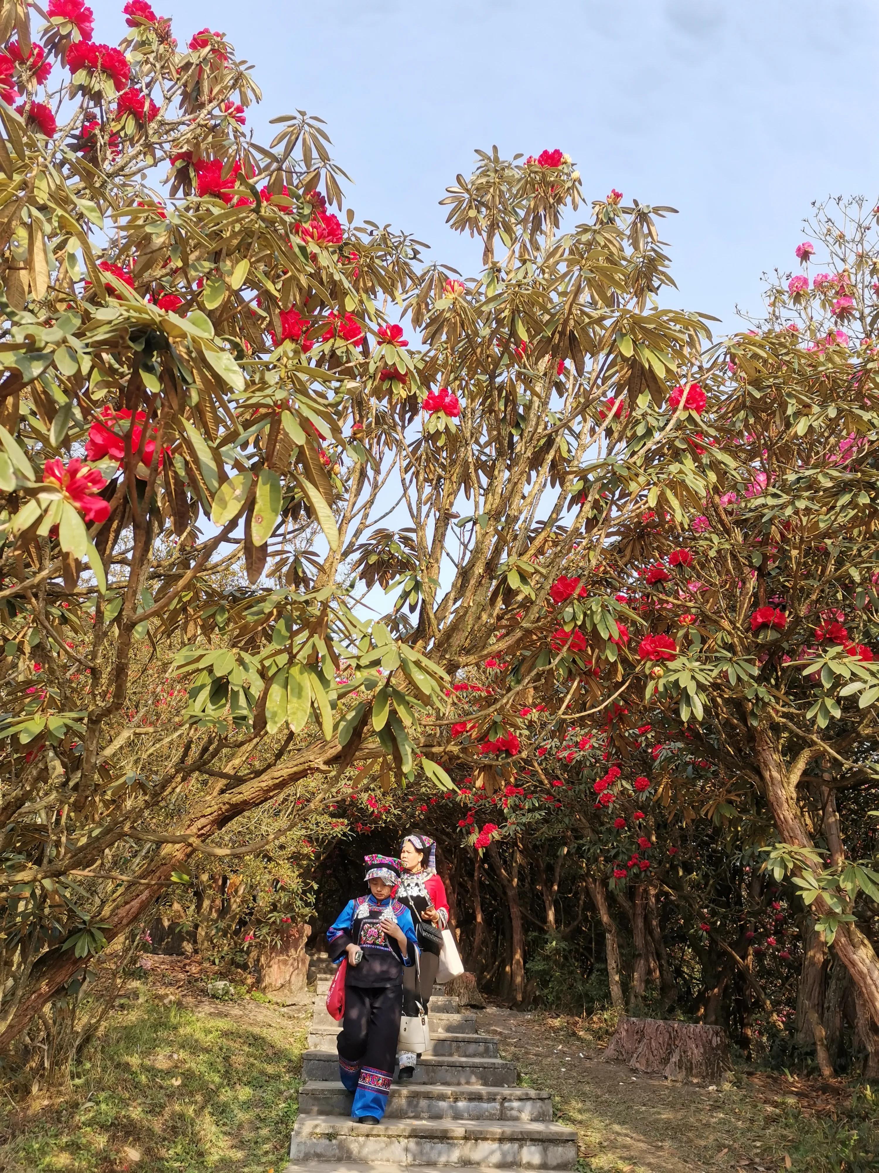 贵州大学1984级管科系同学欢聚毕节录