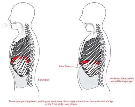 气息的讲解,气息支撑知识点