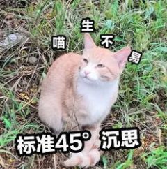 房产证丢了办复印件有用吗,注意了房产证写谁的名都没用