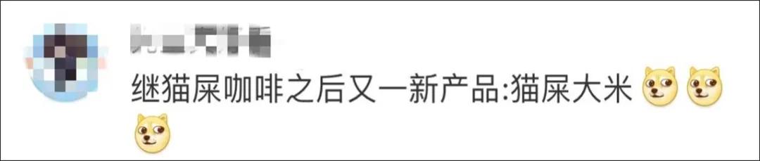 “煮了几天饭后,我在米缸里挖到了猫屎...”