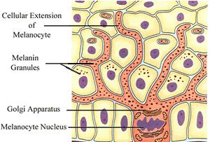 70后女星李小冉,李小冉70年代