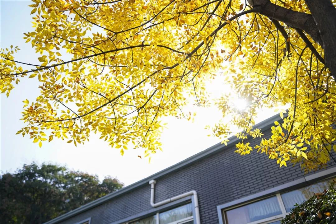 思源学院美景照片,西安思源学院秋景色