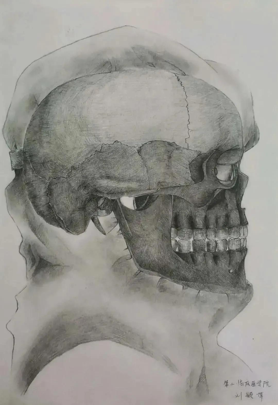 左手丹青,右手手术刀,985名校医学生笔记曝光!网友:这是学神级别的!