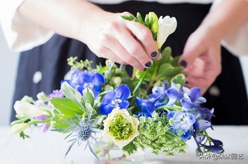 女神节插花图片大全,女神节插花教学视频