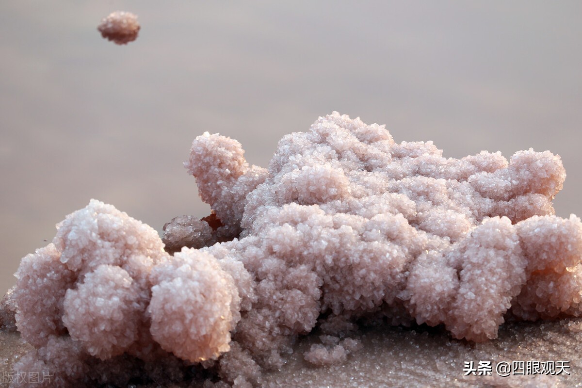 冷眼看红楼书籍,黛玉冷眼看红楼