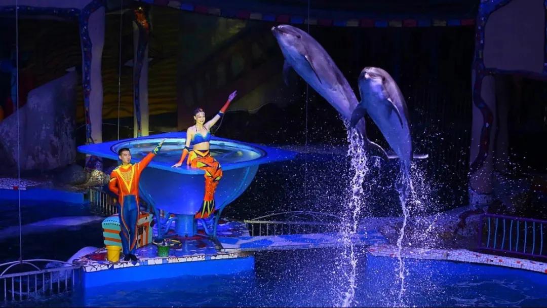 大连景点什么时间恢复开放,大连即将开放的景区图片