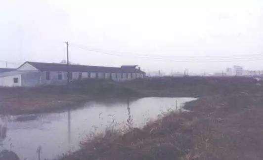 奇瑞混改“风云再起”：青岛五道口50亿神秘投资浮现，意欲何为？