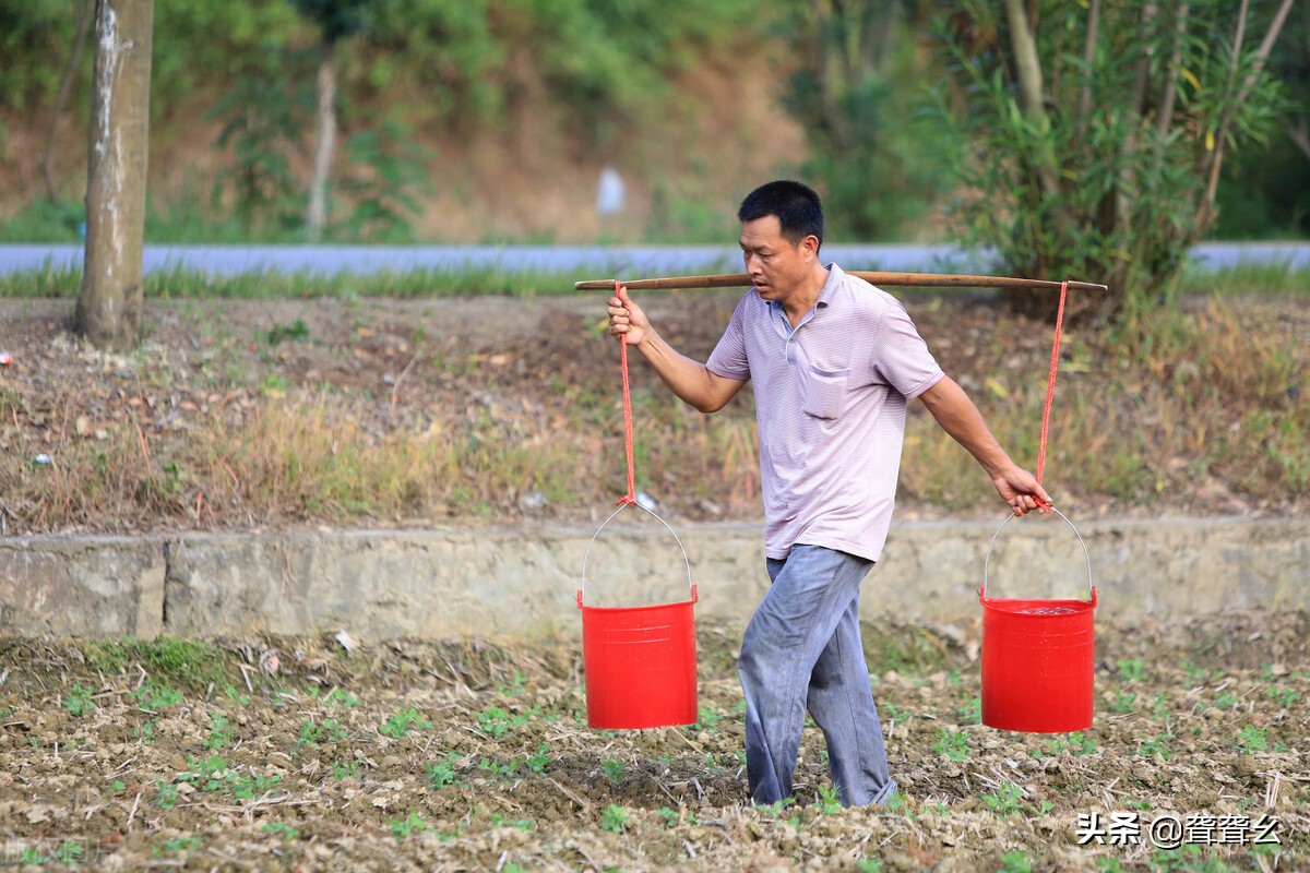五岁女儿童言无忌，直言讨厌奶奶，扯下了家庭中的遮羞布