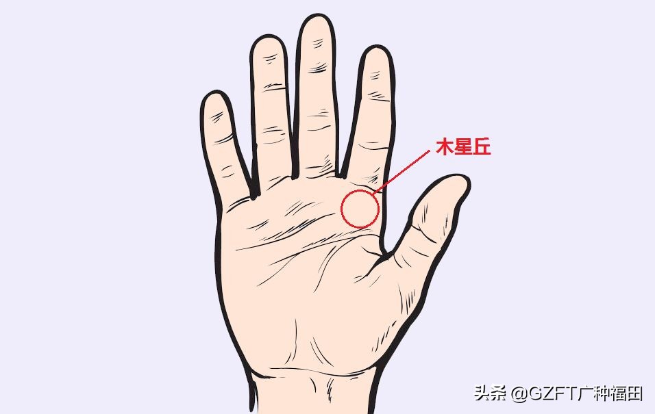 5分钟学会看手相,如何从零开始学会看手相