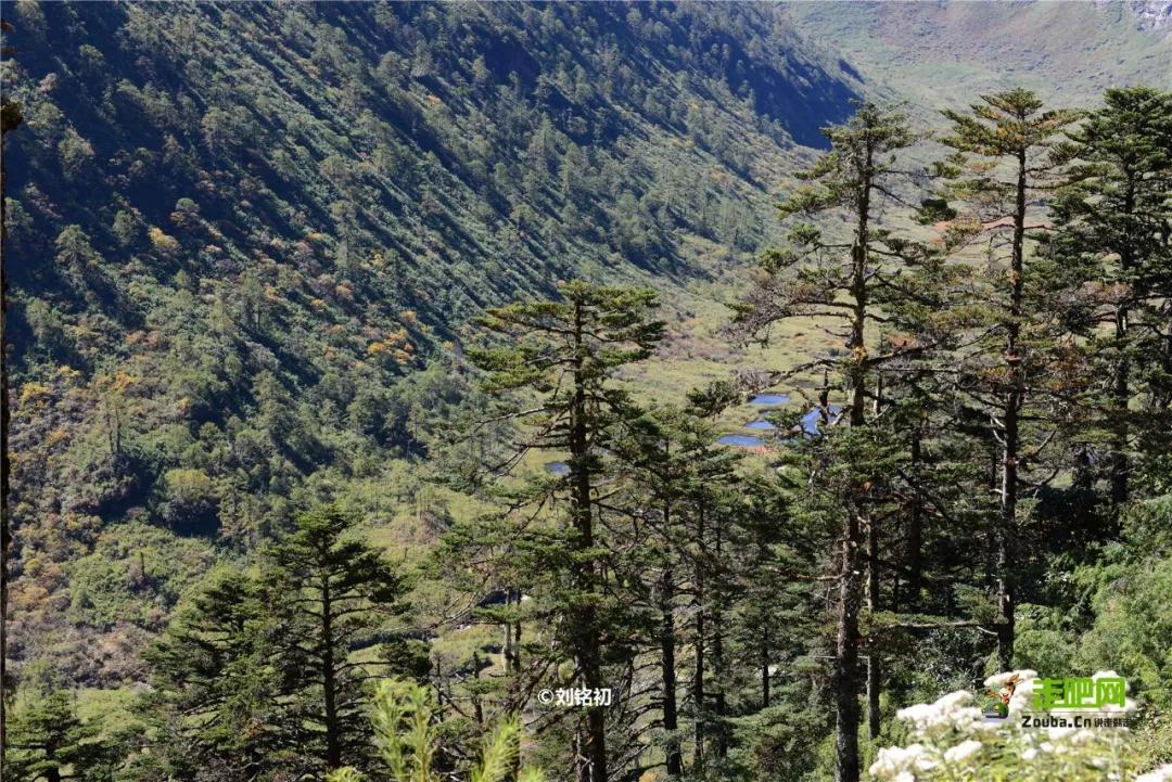 云南十大公路自驾游,云南自驾5条最佳线路图