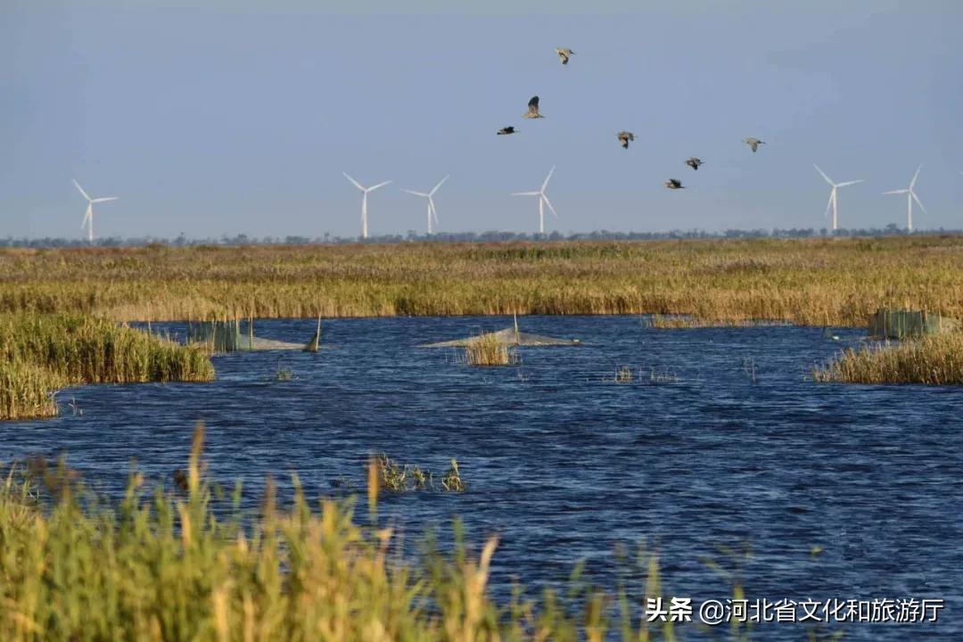 河北看海旅游攻略,河北海边最美景点