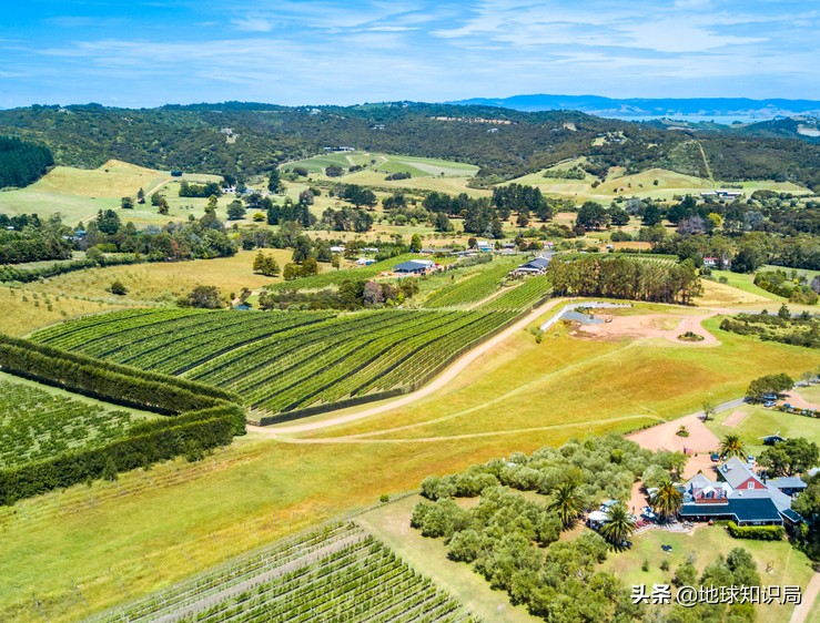 新西兰为什么要吸引人移民,新西兰为什么引进移民