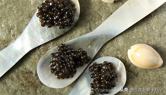 鱼子酱是三大奢侈品美食吗,世界三大美食鱼子酱