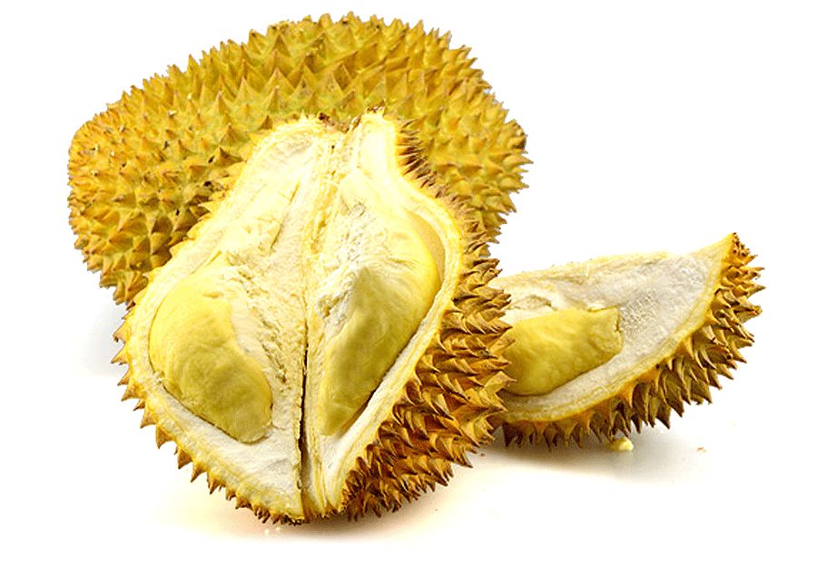 创意趣味儿童画水果,水果简笔画儿童画教程