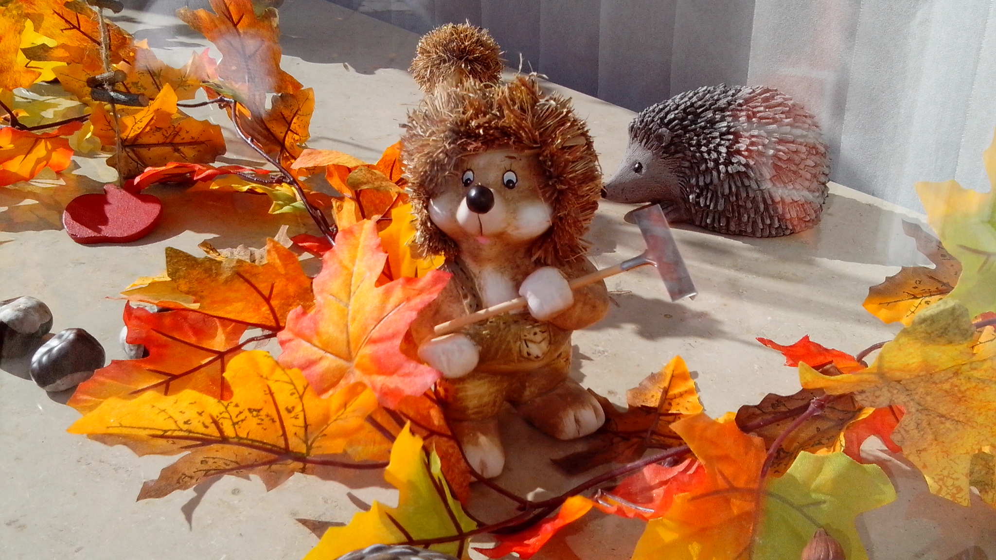 德国男人的真正面目,德国男人严谨的习惯