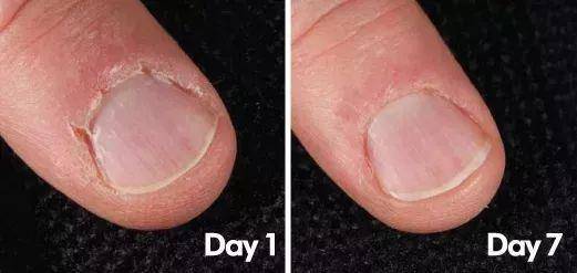 护肤国货片仔癀,护肤化妆品片仔癀