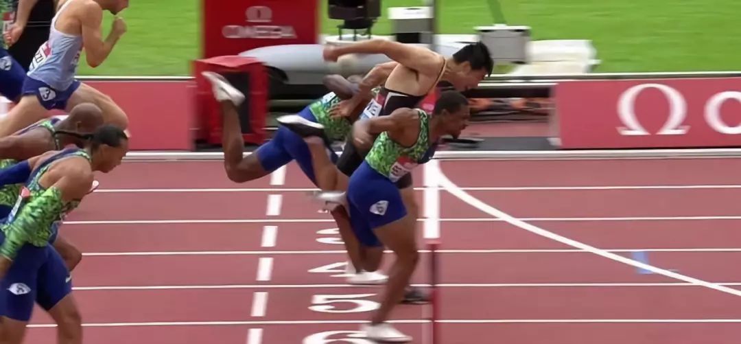 什么是国徽照片,我国的国徽的象征和寓意