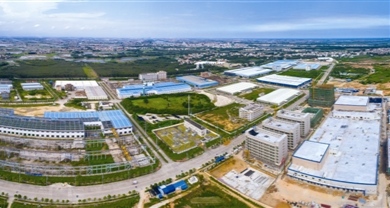 湛江未来发展中心规划图,湛江省域副中心城市未来发展