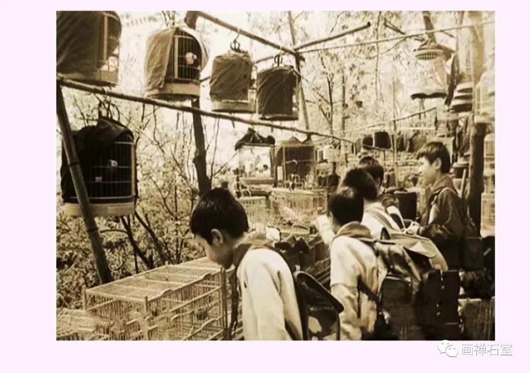 大梁纪实,渝中纪事