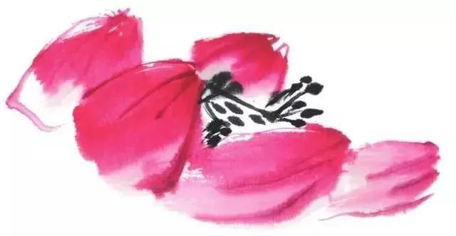 白描荷花的画法图片,如何画荷花国画白描