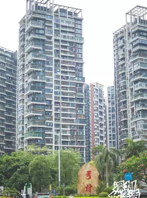 龙华最漂亮的城中村,龙华最破的城中村