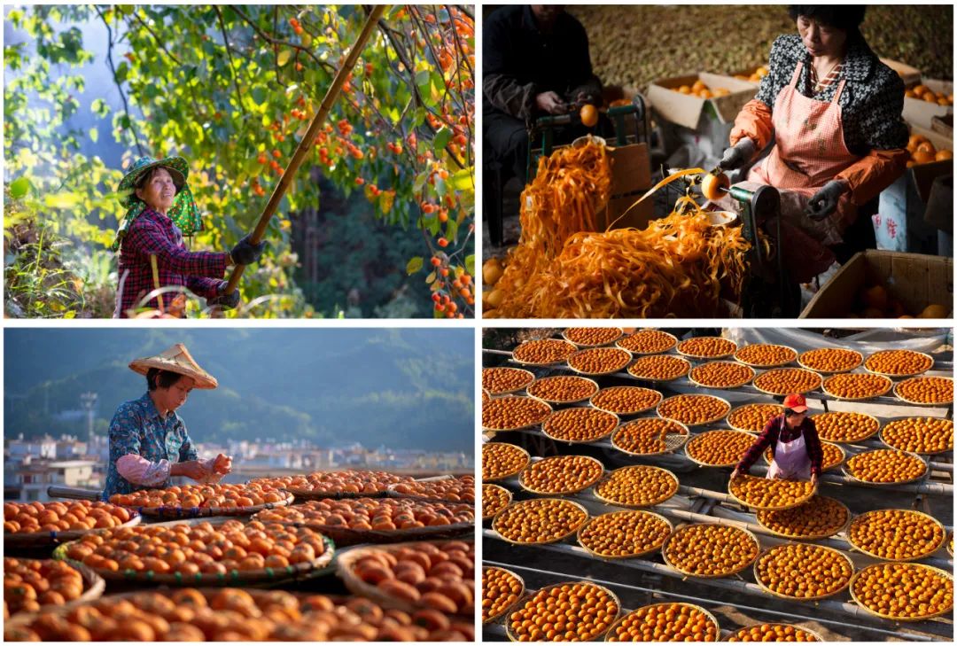 走向我们的小康生活微电影,走向我们的小康生活中国画