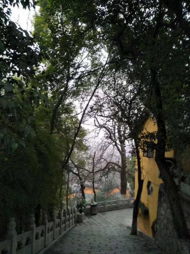 鸡鸣寺最灵的寺庙,闹中取静的寺庙