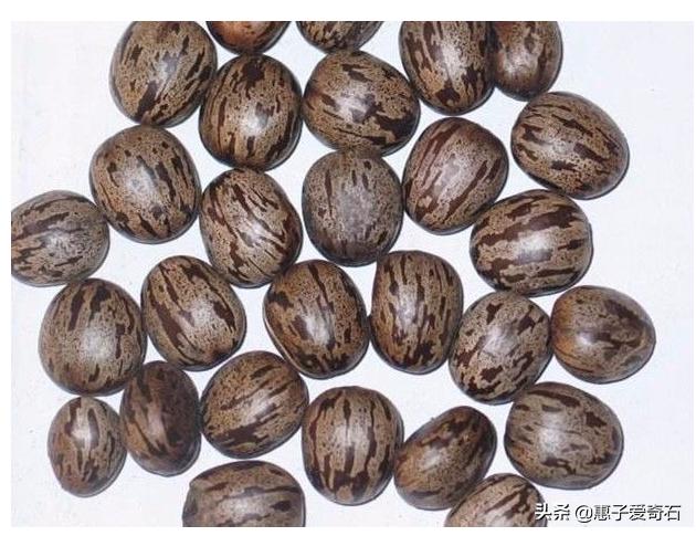 四种文玩有毒,文玩剧毒有哪些