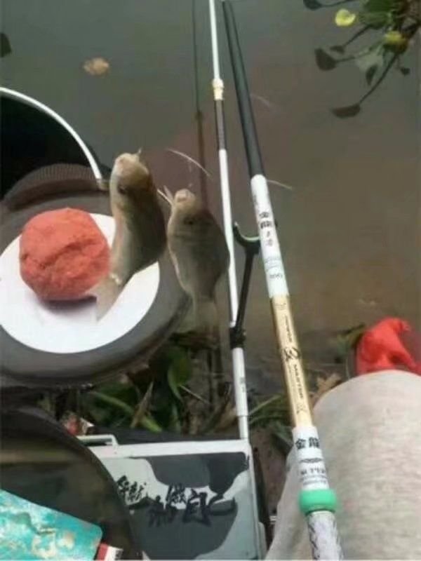 高碳素和低碳素什么区别,高碳素鱼竿优缺点