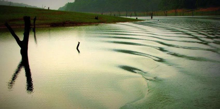 欧文·亚隆《直视骄阳》:当死亡焦虑来袭,该如何直面死亡?