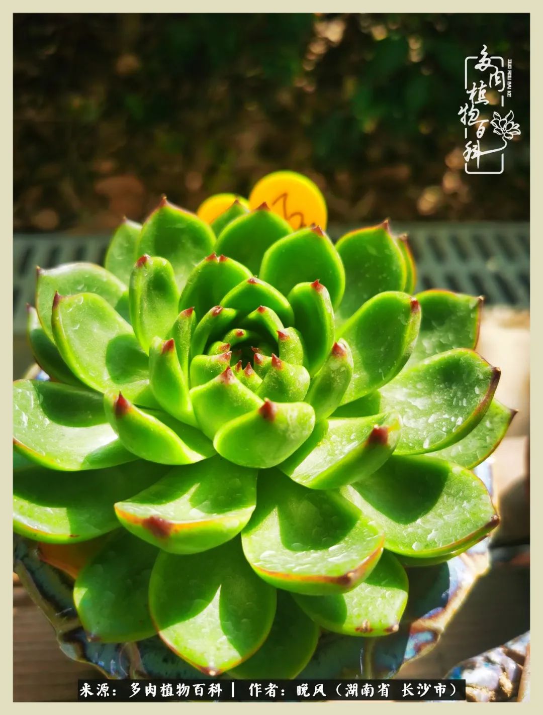 摇身一变成了奶爸,摇身一变成为打工人