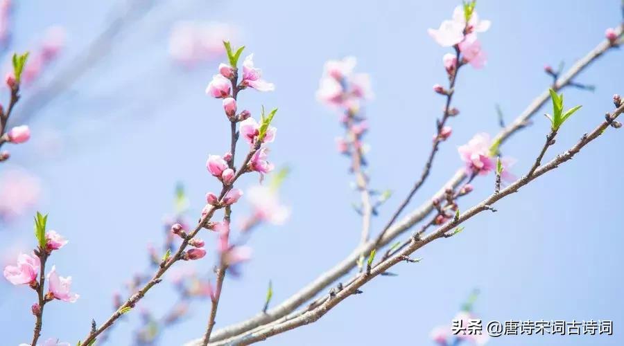 人生感悟的古诗励志句子,励志人生短句古诗