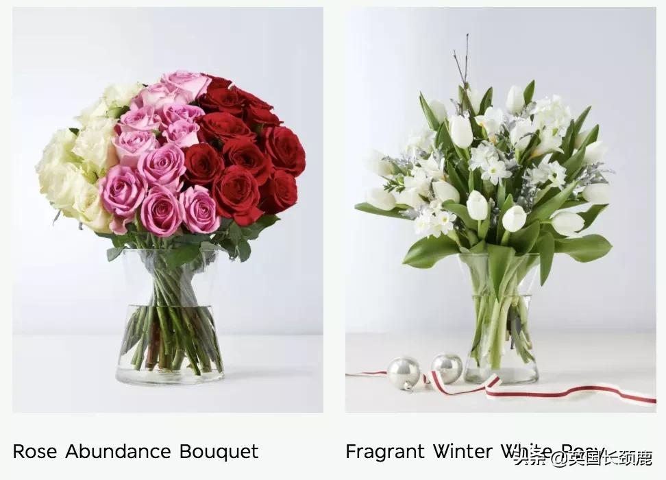 情人节来了怎么少的了fafa?英国鲜花速递服务大盘点:浪漫满分