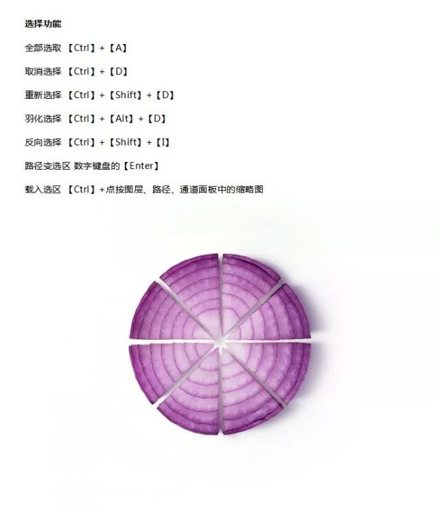 ps常用快捷键大全txt,ps常用快捷键大全表格