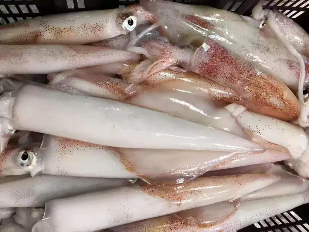 她17岁逃婚出深山，如今在无锡，开了南长街上最大的酒楼