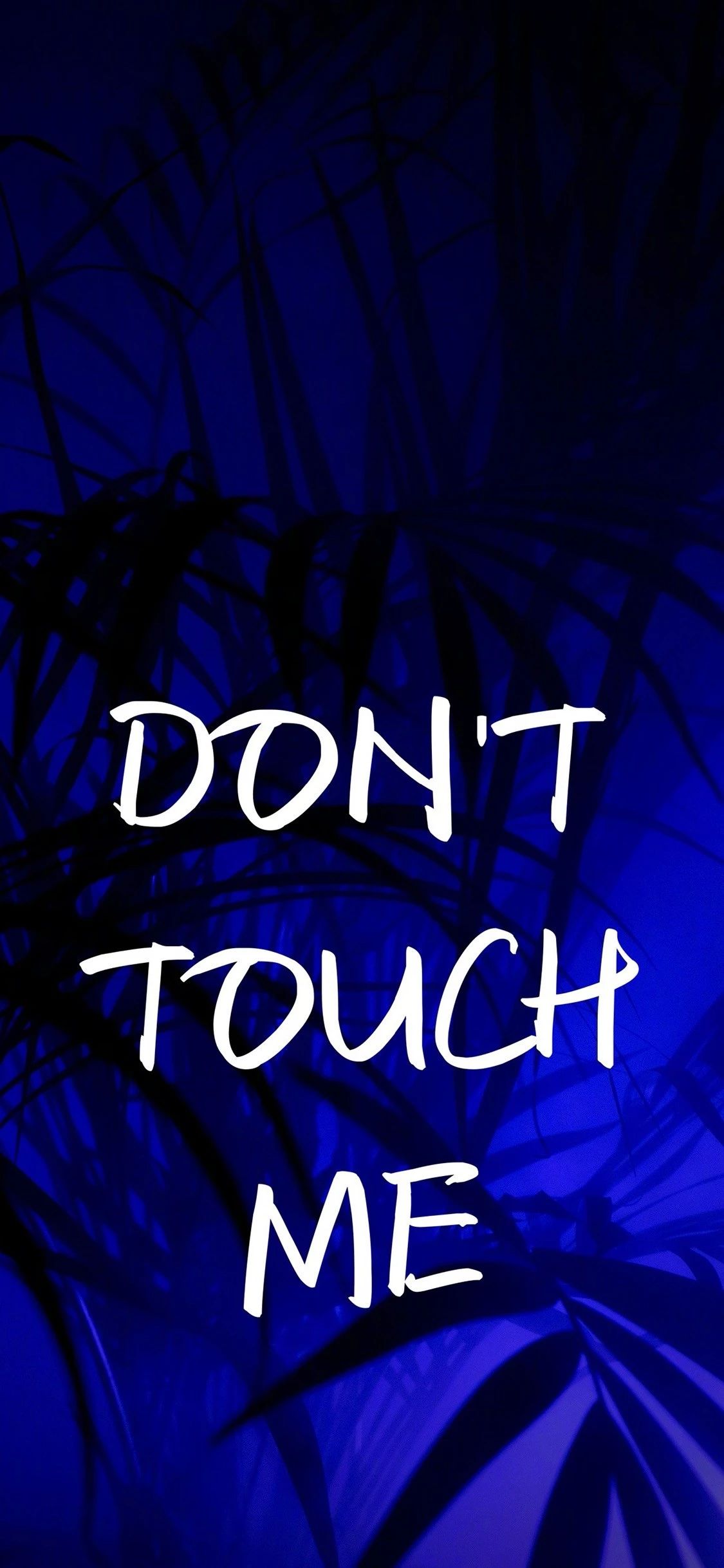 今日超好看质感壁纸（1080x1920）,1125x2436两种分辨率