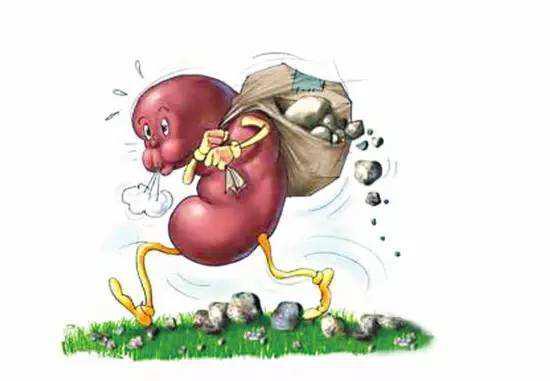 猫肾衰和磷元素摄入的关系是什么？又该如何限制磷元素？教你3点