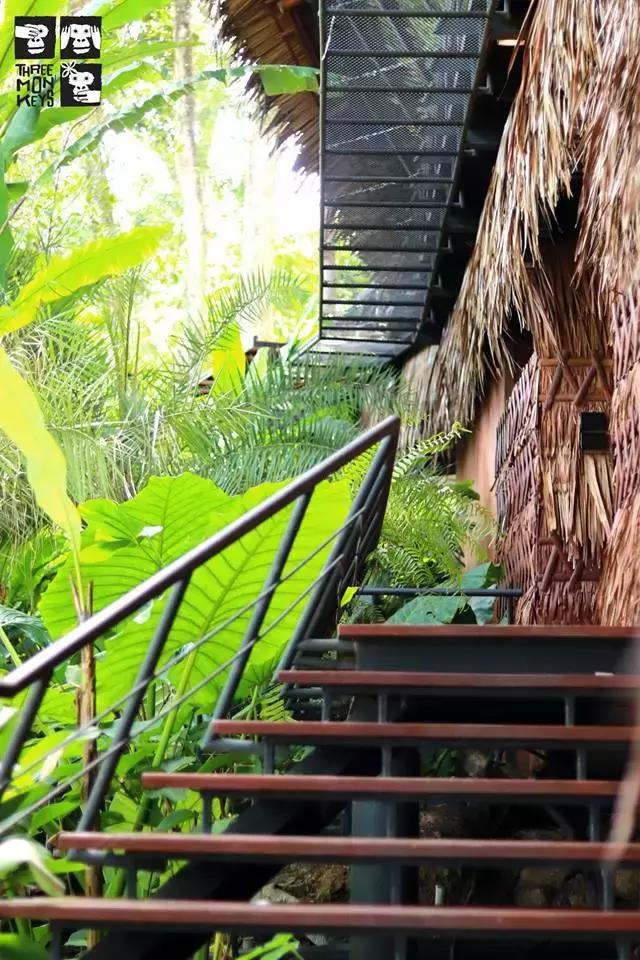 泰国野奢酒店,泰国奢享酒店