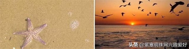 换一个角度享受生活乐趣,日照吴家台渔家乐推荐