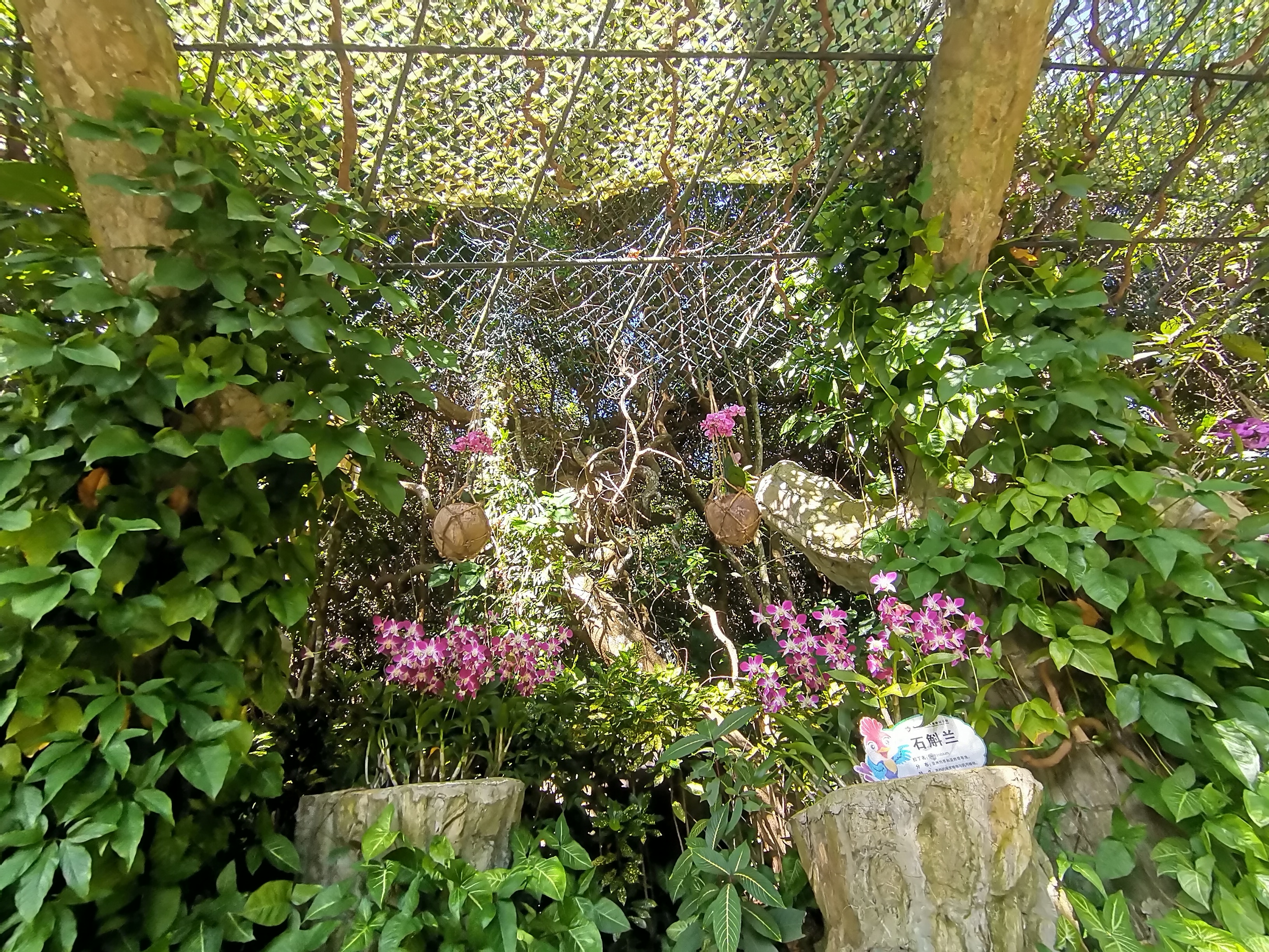 去了海南三亚,去完三亚热带森林公园可以逛哪里