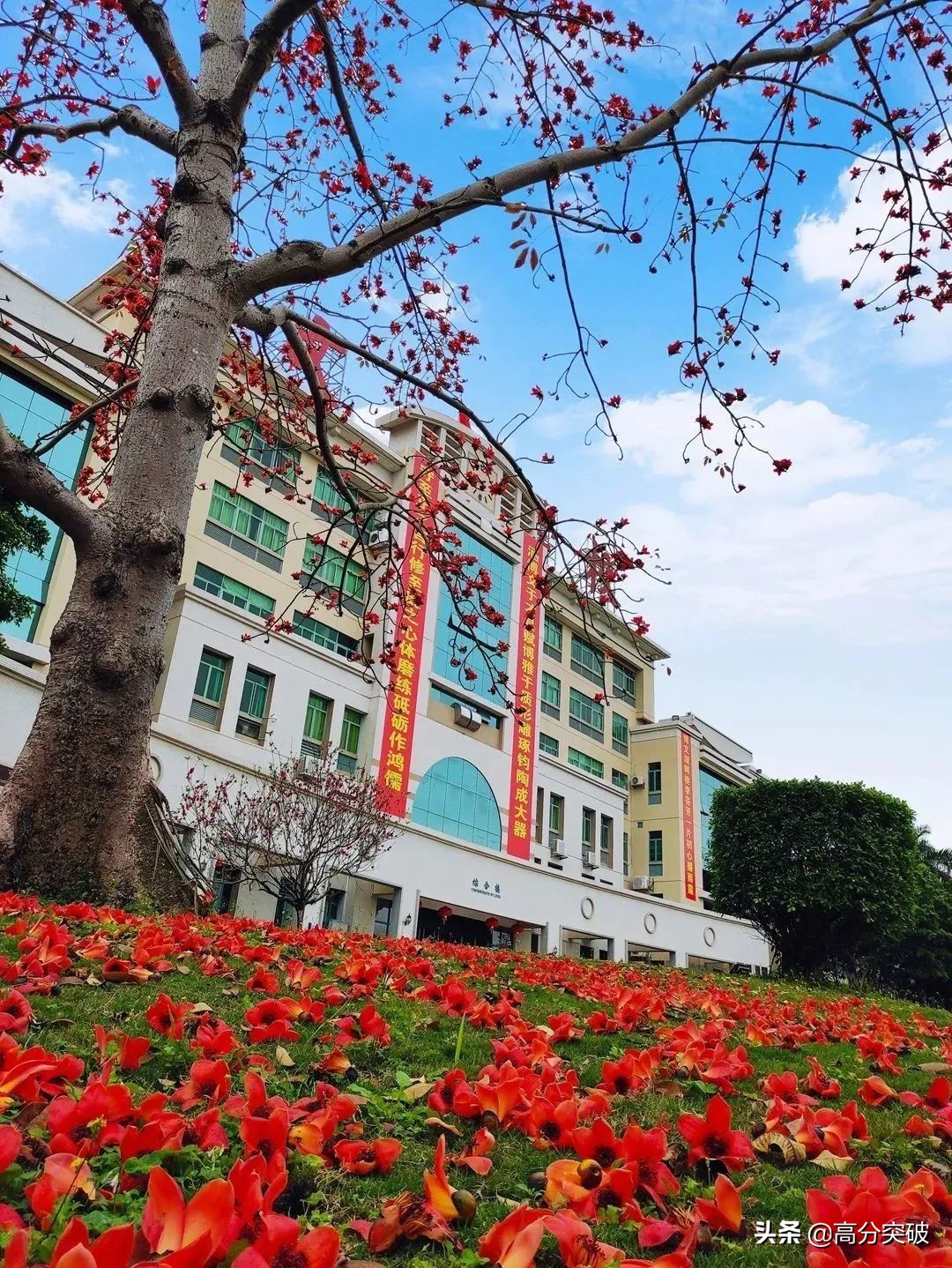 开学复课进行时,开学季告别暑假回归校园