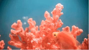 2019最in流行色你猜对了么,刚发布的2019流行色