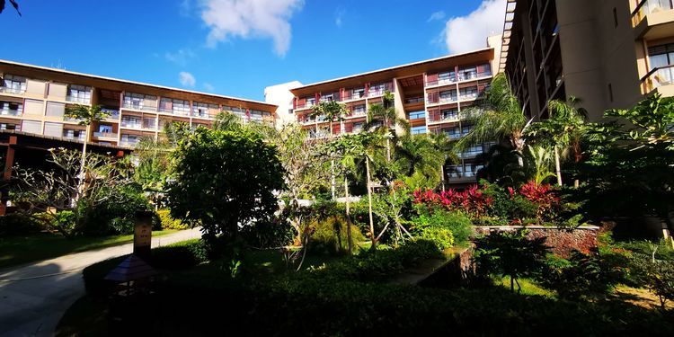 三亚红树林有亲子活动,三亚红树林和海韵